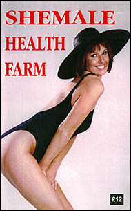 English novelette cover